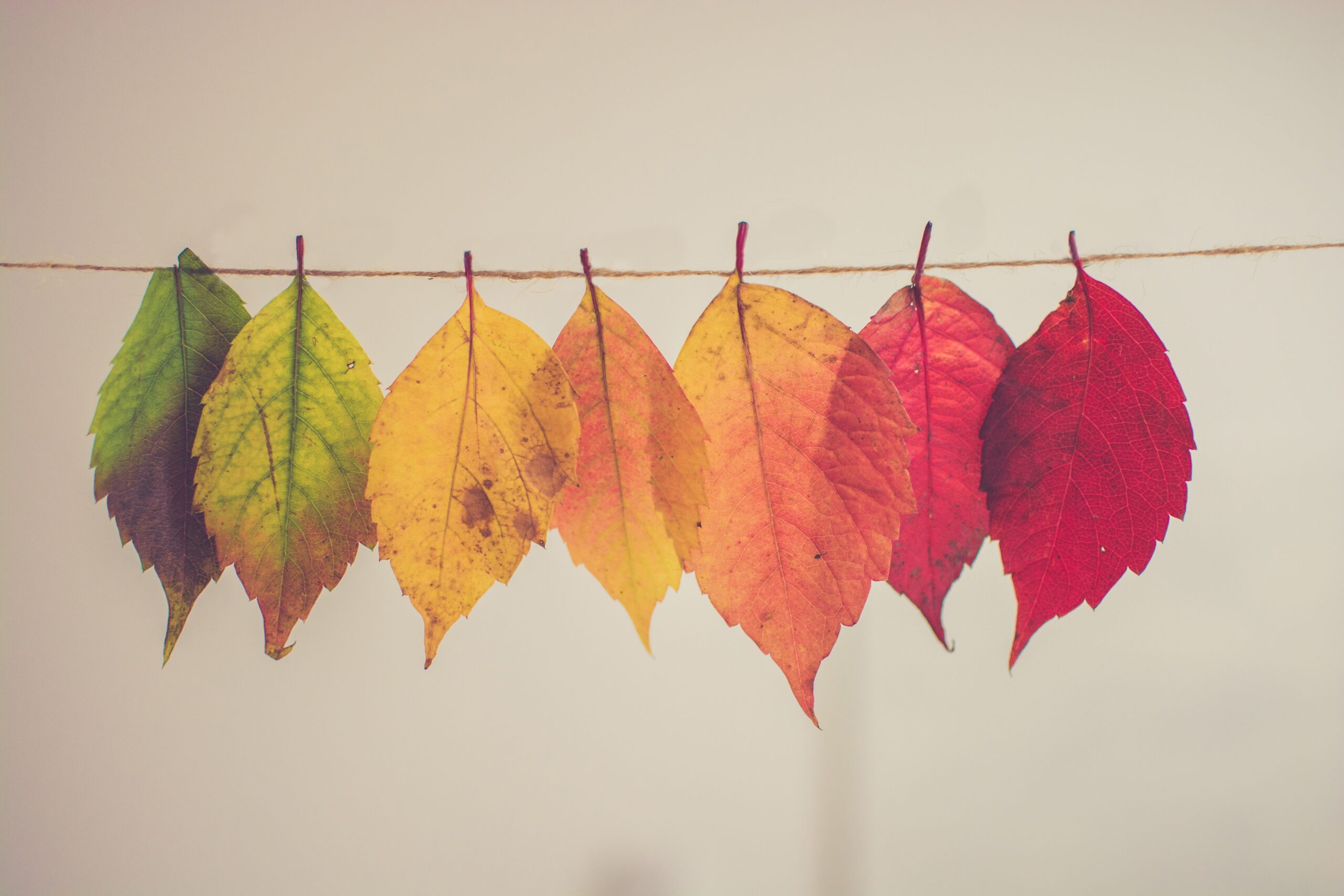 chris-lawton-5IHz5WhosQE-unsplash