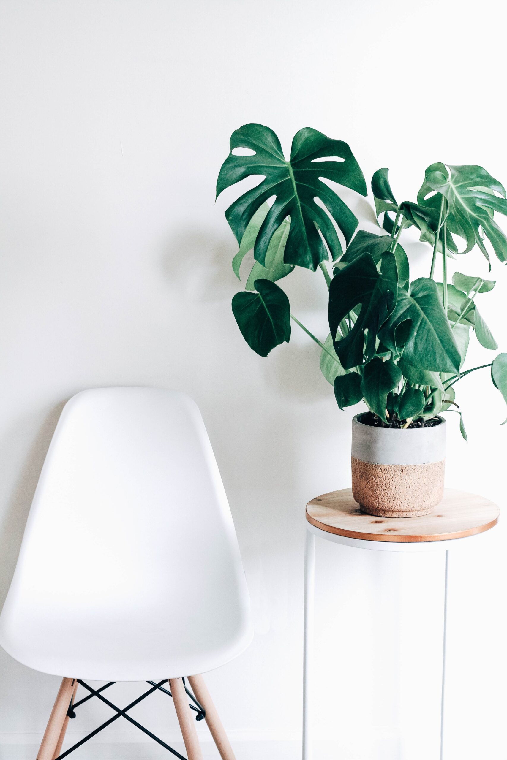 kara-eads-xRyL63AwZFE-unsplash
