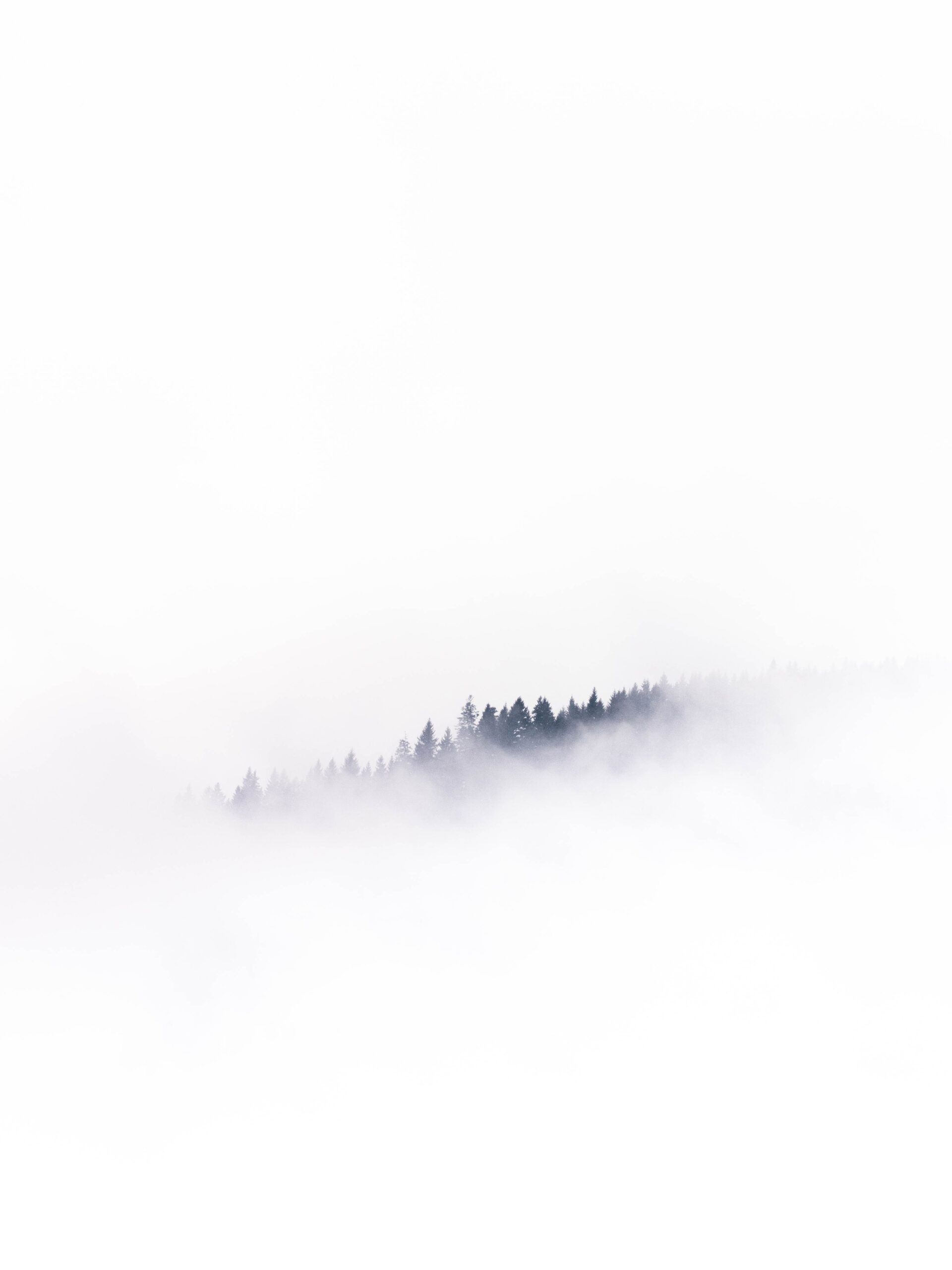 mads-schmidt-rasmussen-6YmzwamGzCg-unsplash