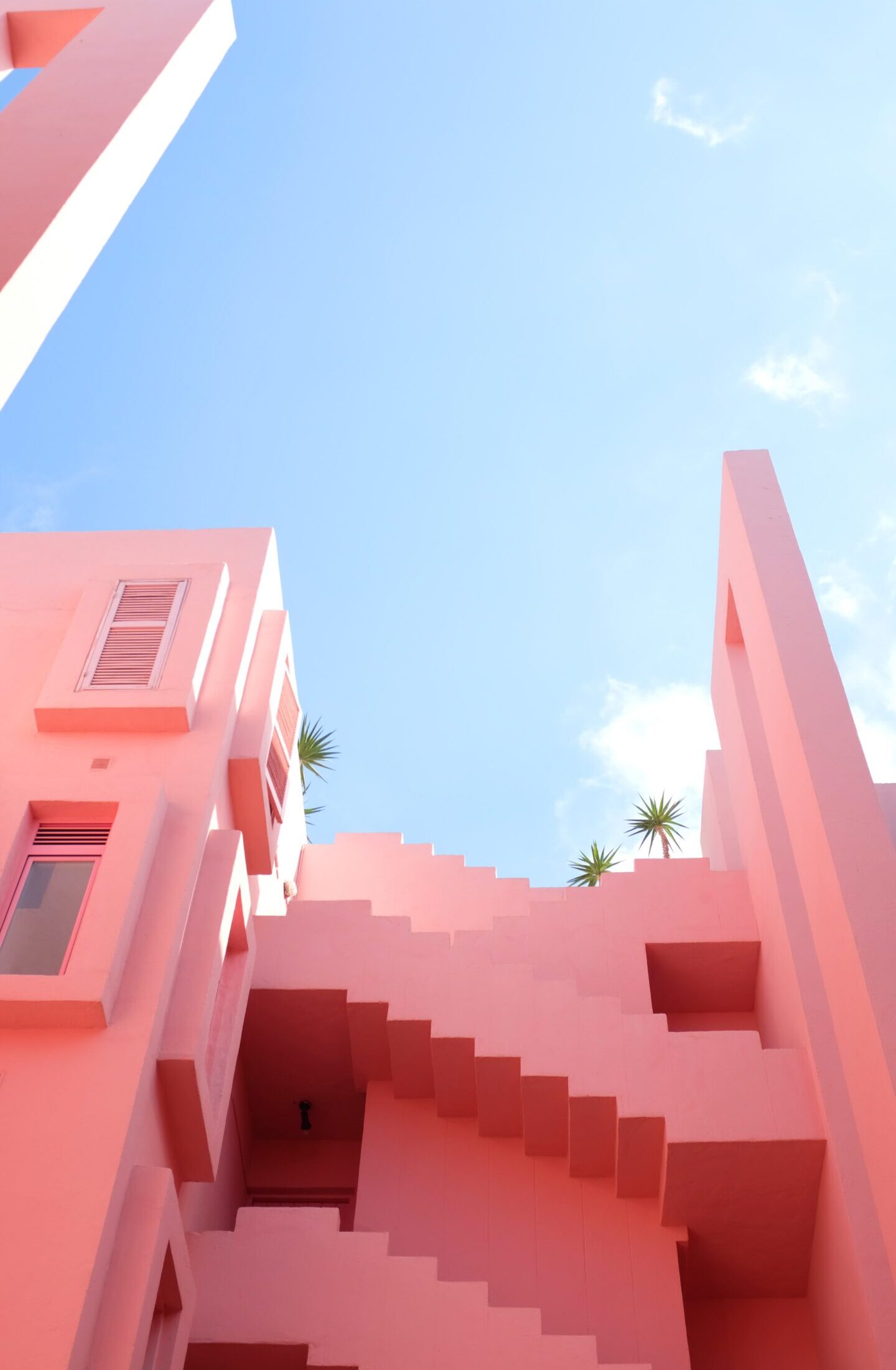 beasty–HxIhfS_dUk-unsplash